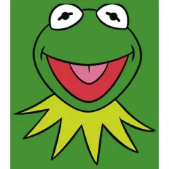 Boy's The Muppets Kermit Costume Tee T-Shirt