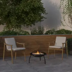 Emma and Oliver 22.5" Black Iron Foldable Wood Burning Outdoor Firepit with Mesh Screen & Poker