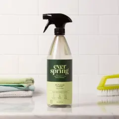 Citrus & Basil All Purpose Cleaner - 28 fl oz - Everspring&trade;