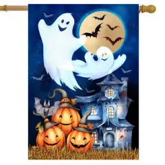 Briarwood Lane House Flag 40x28 For Outdoor Halloween Haunting For Halloween House Flag
