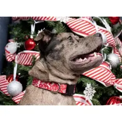 Country Brook Petz Deluxe Ho Ho Ho Dog Collar and Leash