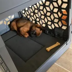 KindTail PAWD Cat and Dog Crate Pad