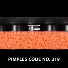 Butterfly Tenergy 19