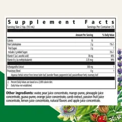 Floradix Ashwagandha Liquid Herbal & Vitamin Formula - Stress Support Formula - Vegan & Non-GMO - 8.5 fl oz