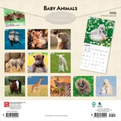 BrownTrout Baby Animals 2026 12"x24" Hanging Square Wall Calendar Plastic-Free
