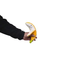 American Pet Supplies Good Fat Crinkle and Squeaky Plush Dog Toy Combo