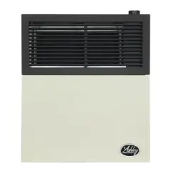 Ashley Hearth Products 11,000 BTU Direct Vent Liquid Propane Wall Mounted Heater with Piezo Lightning, Safety Pilot and Built-In Regulator, Cream
