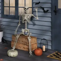 60" Poseable Bone Skeleton Halloween Decorative Prop Off-White - Hyde and EEK! Boutique&trade;