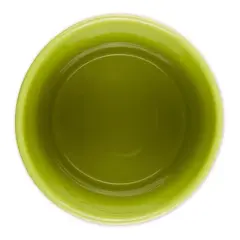 Design Imports Avocado Stir It Up Ceramic Utensil Holder
