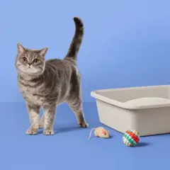 Fragrance Free with Baking Soda Clumping Cat Litter - up&up&trade;