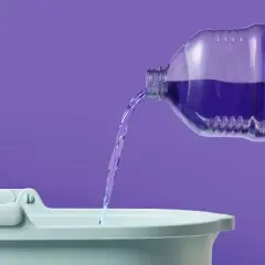 Multi-Surface Liquid Disinfectant Cleaner - Lavender - 56 fl oz - up&up&trade;