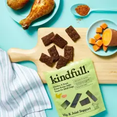Hip & Joint Support with Chicken and Sweet Potato Jerky Dog Treat - 5oz - Kindfull&trade;