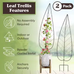55in Trellis for Climbing Plants 2PK