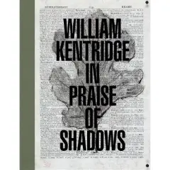 William Kentridge: In Praise of Shadows - by  Ed Schad (Hardcover)