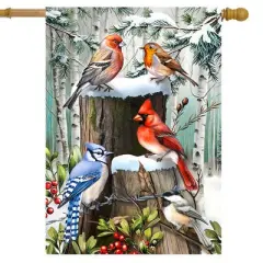 Briarwood Lane Winter House Flag 40x28 For Outdoor Winter Woodland Birds For Winter House Flag