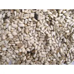 Generic Safflower Seed