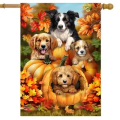 Briarwood Lane Fall House Flag 40x28 For Outdoor Fall Pumpkin Puppies For Fall House Flag