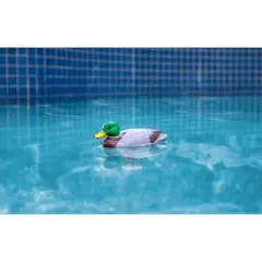Poolmaster Mallard Duck Floating Swimming Pool and Spa Thermometer