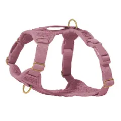 AWOO Huggie Padded Recycled Air Mesh Dog Harness