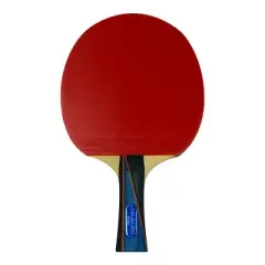 Butterfly Timo Boll 3000 Racket