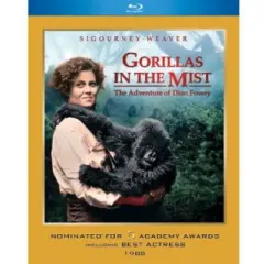 Gorillas in the Mist