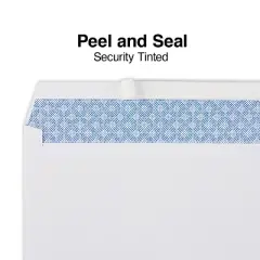 Staples EasyClose Security Tint #10 Envelope 4-1/8" x 9-1/2" White 500/BX 50312