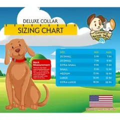 Country Brook Petz Deluxe American Celebration Dog Collar - Made in the U.S.A. (1 Inch, Medium)