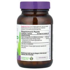 Oregon's Wild Harvest Ashwagandha Ginkgo, 90 Vegan Capsules