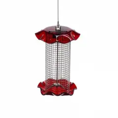 Birds Choice 1qt Forever Black Oil Sunflower Bird Feeder - Red: Stainless Steel, Acrylic, Weather-Resistant, No Assembly Required