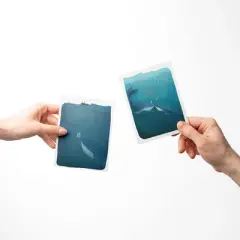 Love/Valentine's Assorted Greeting Card Pack (3ct) "Love Note Whale, Whales, LOVE Nautical Flags" by Ramus & Co