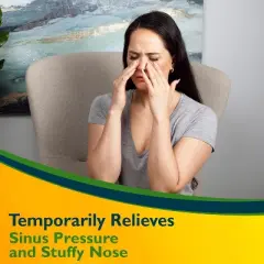 Benzedrex Nasal Decongestant Inhaler, 1 Count