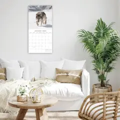 The Gifted Stationery 2025 Square Wall Calendar, Wolves, 16-Month Animals Theme with 180 Reminder Stickers (12 x 12 In)