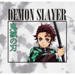 Demon Slayer Framed Tanjiro Crew Neck Short Sleeve Light Gray Sparse Cloud Wash Men's T-shirt