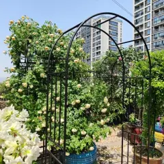 NicBex Metal Garden Arch Trellis, L42.24" X W17.52" X H85.82" Plant Trellis Outdoor Anti-Rust Arched Garden Trellis, Black