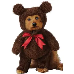 California Costumes Sweet Teddy Bear Pet Costume, Large