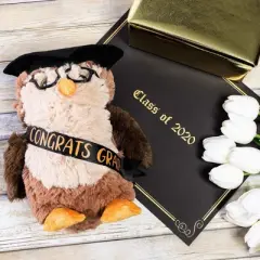 Blue Panda Class of 2023 Graduation Owl Plush, Stuffed Animal Gift with Glasses & Grad Cap, Brown, 9.2 in