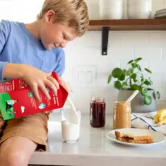 Horizon Organic Lactose-Free Milk - 0.5gal