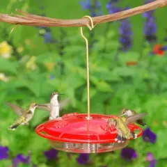 Aspects HummZinger Ultra Nectar Bird Feeder with 4 Feeding Ports, 12oz Capacity