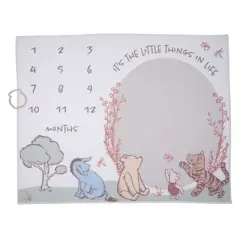 Lambs & Ivy Pooh Bear and Pals Photo Opportunity Milestone Fleece Baby Blanket