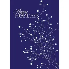 CEO Cards Holiday Greeting Card Box Set of 25 Cards & 26 Envelopes - H1101