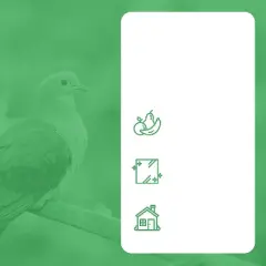 BIRD BLINDER 4" Steel Bird Spikes for Pigeons and Other Small Birds, Silver Set of 15