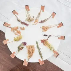 Celebration Mixed Gift Box Organic Tea in Stem