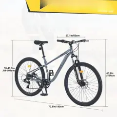 INFURNIC Bicycles, 29 Inch Mountain Bike for Men Women Boys and Girls, Mountain Bike with Single Speed, Gray, 70.8"*27.1"*40.9"