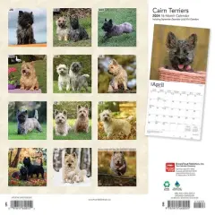Browntrout 2024 Wall Calendar 12"x12" Cairn Terriers