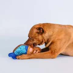 PetShop by Fringe Studio I'll Bring The Bubbles Durable Plush Dog Toy