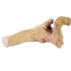 A&E Cage Company Turtie, Reptile, Snake, Hermit Crab, Frog, Lizard Medium Branch Tunnel