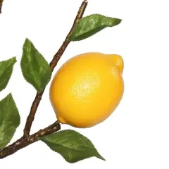 Vickerman 20" Artificial Green and Yellow Lemon Spray.