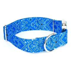 Country Brook Petz HossFit Jr Wide Premium Dog Collar - Country and Western Collection