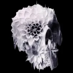 Junior's Design By Humans Decay By aligulec T-Shirt