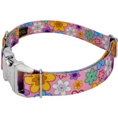 Country Brook Petz Premium May Flowers Dog Collar